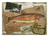 Rainbow Trout