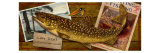 Lake Trout