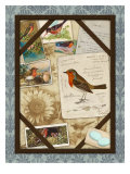 Robin