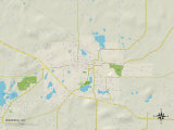 Political Map of Waupaca  WI