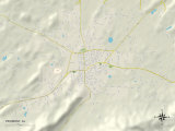 Political Map of Piedmont  AL