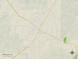 Political Map of Rainsville  AL