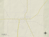 Political Map of Slocomb  AL