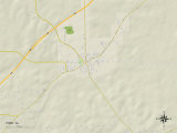 Political Map of York  AL
