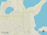 Political Map of Pine Castle  FL