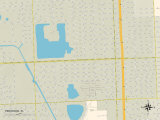Political Map of Pinewood  FL