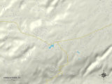 Political Map of Shingletown  CA