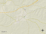 Political Map of Tuskegee  AL