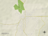 Political Map of Union Springs  AL