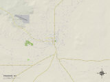 Political Map of Riverton  WY