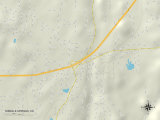 Political Map of Shingle Springs  CA