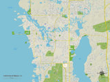 Political Map of Tarpon Springs  FL
