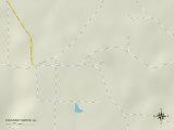 Political Map of Pleasant Grove  AL