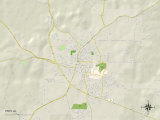 Political Map of Troy  AL