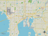 Political Map of Tampa  FL