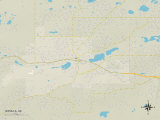 Political Map of Wasilla  AK