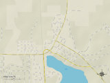 Political Map of Polk City  FL