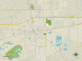 Political Map of Plant City  FL