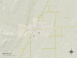 Political Map of Worland  WY