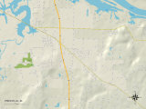 Political Map of Priceville  AL
