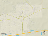 Political Map of Walker  LA
