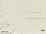 Political Map of White Swan  WA