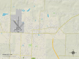 Political Map of Webb City  MO