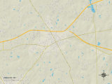 Political Map of Zebulon  NC