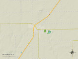 Political Map of Williamsville  IL