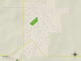 Political Map of Zeigler  IL