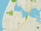 Political Map of Douglas  MI
