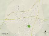 Political Map of Woodbury  GA