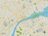 Political Map of Detroit  MI