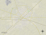 Political Map of Waycross  GA