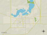 Political Map of Willmar  MN