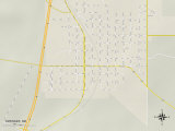 Political Map of Springer  NM