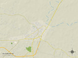 Political Map of Williamston  NC