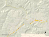 Political Map of Waynesville  MO