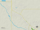 Political Map of Minden  NV