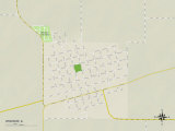 Political Map of Windsor  IL