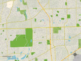Political Map of Woodridge  IL