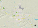 Political Map of Minot  ND