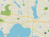 Political Map of Wayzata  MN