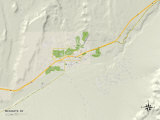 Political Map of Mesquite  NV