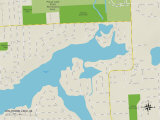 Political Map of Wolverine Lake  MI