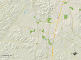 Political Map of Franklin  TN
