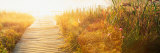 Grass on the Both Sides of a Pier  Laurel Pond  Pokagon State Park  Indiana  USA