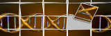 DNA Model in Jumbled Tiles