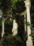 Statue in Garden  Magnolia Plantation and Gardens  Charleston  Charleston County  South Carolina