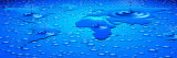 World Map Formed with Water Drops